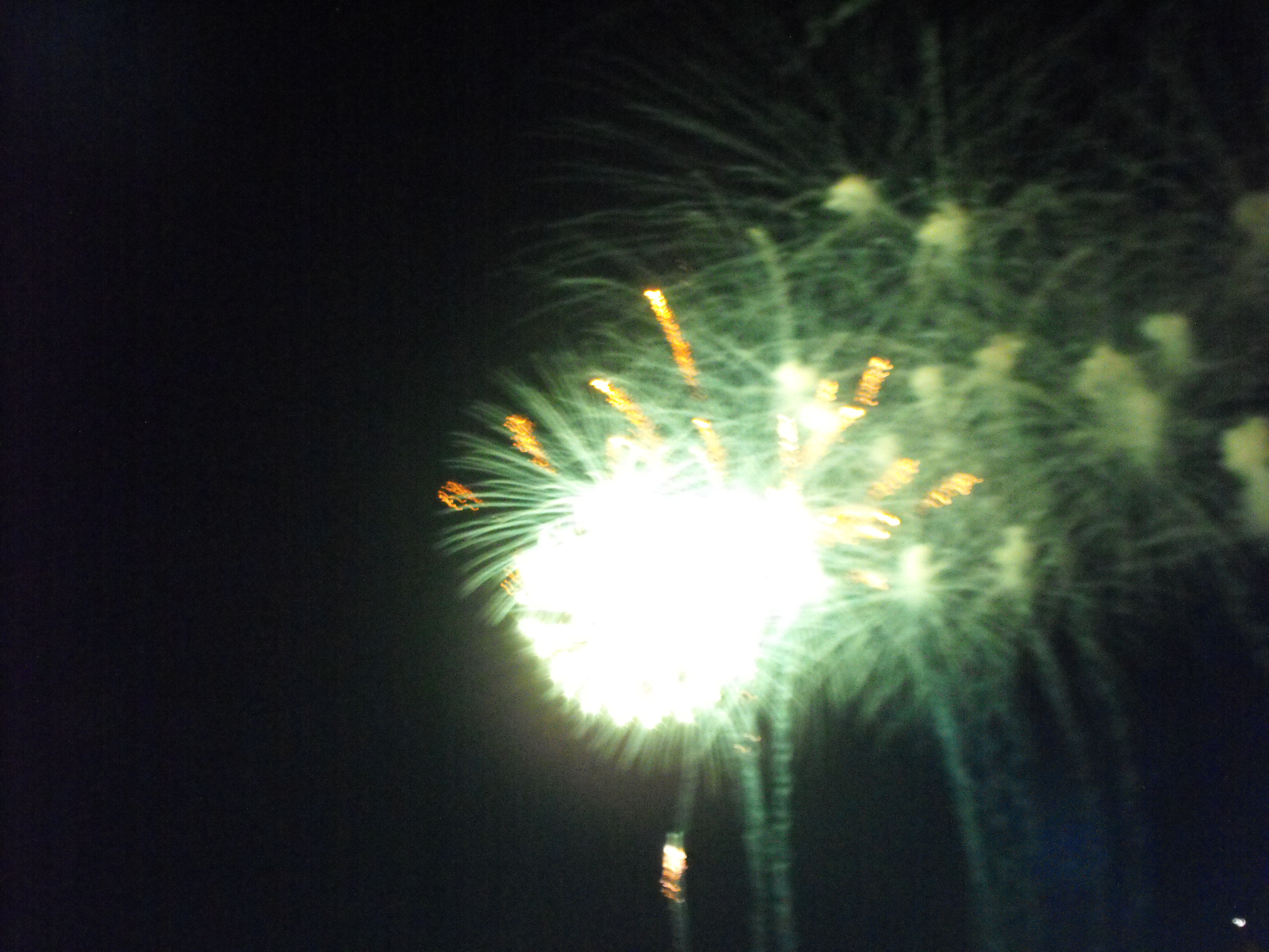 ./2010/Fourth of July/4th July Fireworks Wilm 0049.JPG